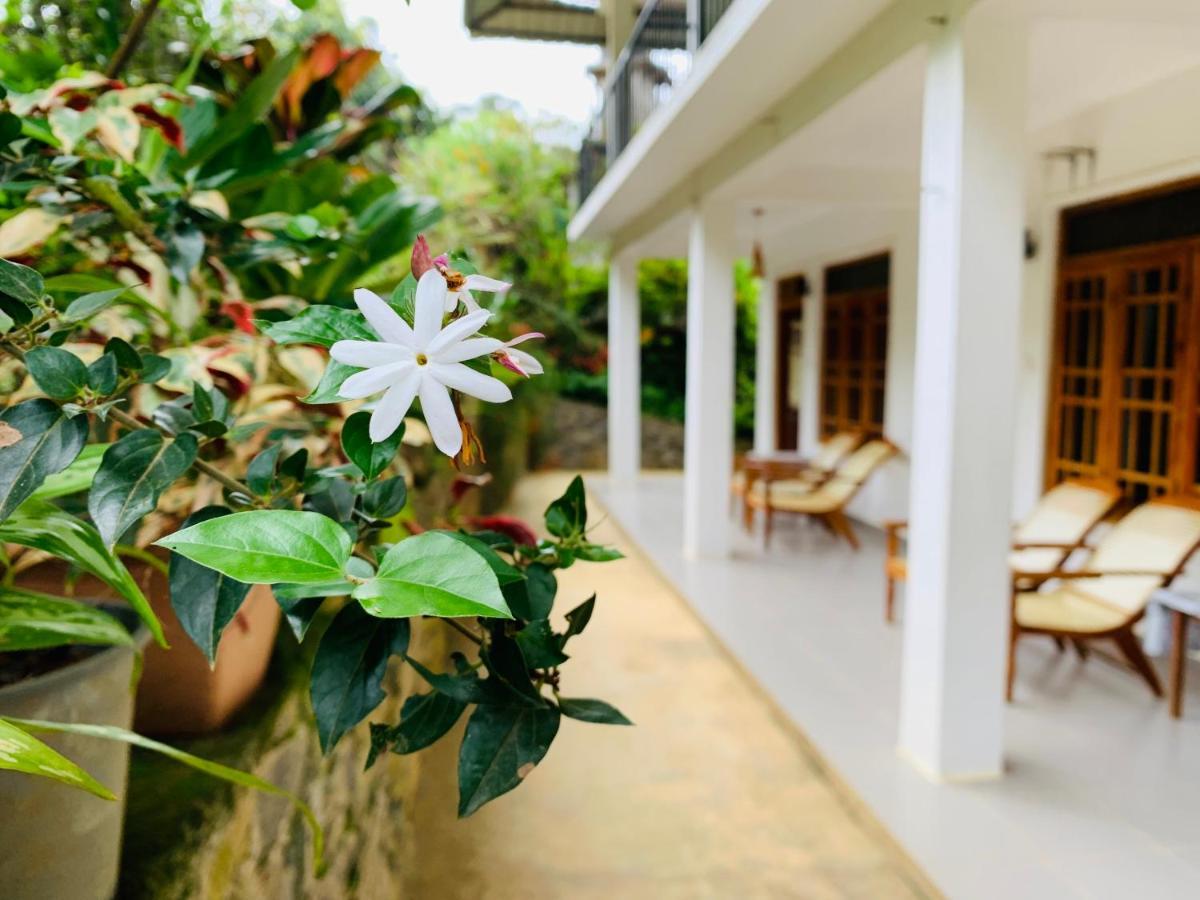 Hotel Mount Breeze Ella Extérieur photo